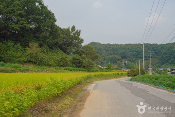 칠장산 여행 추천 - 메고지고