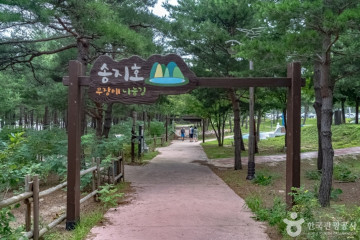 송지호관망타워 여행 추천 - 메고지고