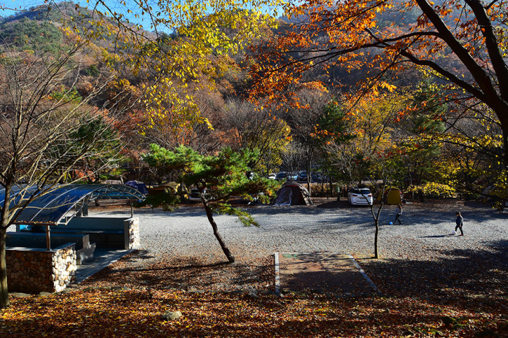 금산산림문화타운 여행 추천 - 메고지고