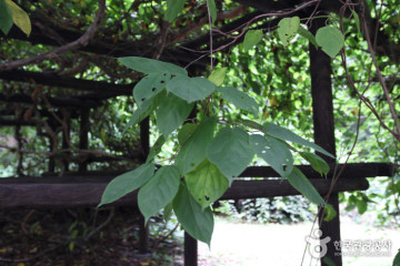서울 문묘와 성균관 여행 추천 - 메고지고