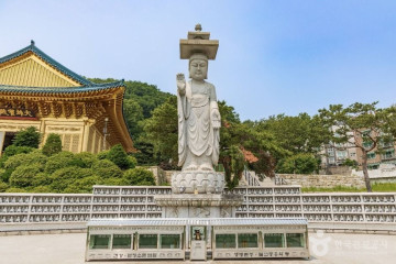 키즈66드라이빙센터 여행 추천 - 메고지고
