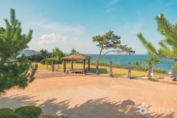 송정공원 여행 추천 - 메고지고