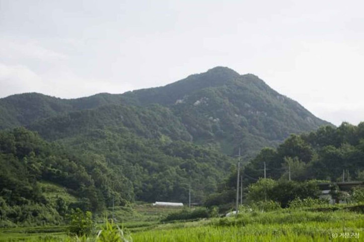 보해산(금귀봉) 여행 추천 - 메고지고