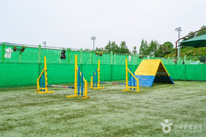 울산애견공원 여행 추천 - 메고지고