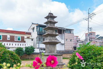 조선대학교 장미원 여행 추천 - 메고지고