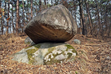 안성 서일농원 여행 추천 - 메고지고