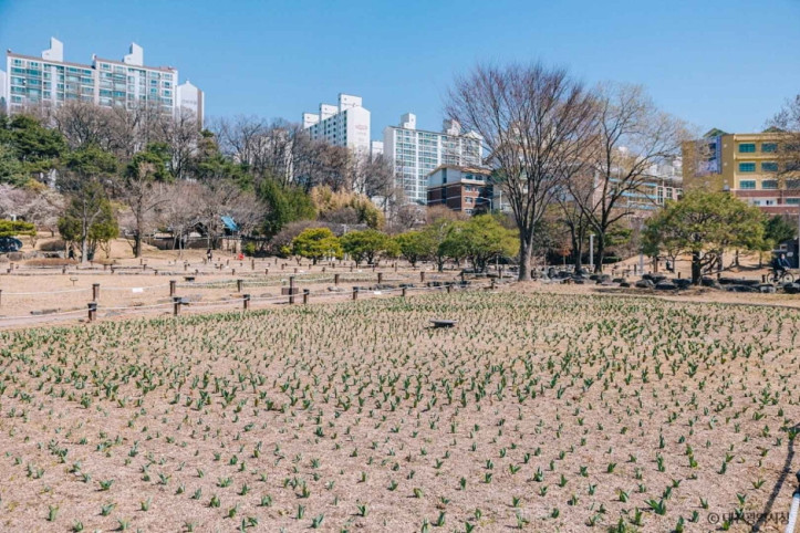 대전 회덕 동춘당 여행 추천 - 메고지고