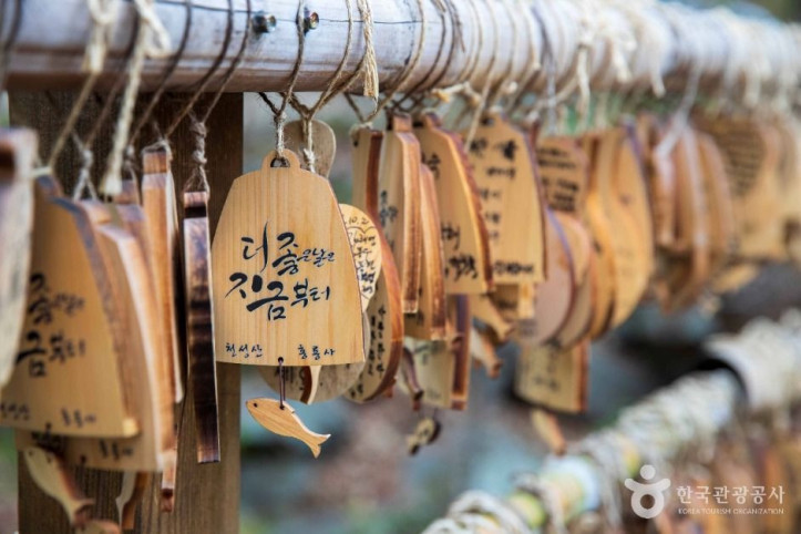 홍룡사(양산) 여행 추천 - 메고지고