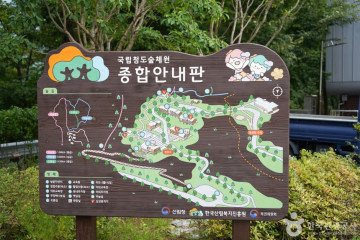 국립 운문산자연휴양림 여행 추천 - 메고지고