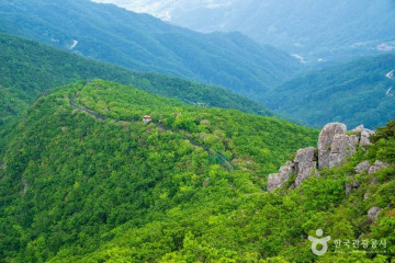 대봉산자연휴양림 여행 추천 - 메고지고