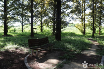 장동산림욕장 여행 추천 - 메고지고