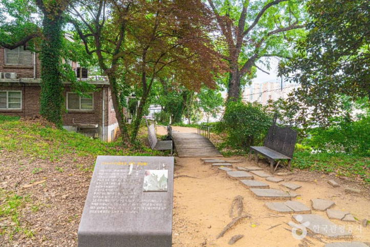양림동 호랑가시나무길 여행 추천 - 메고지고