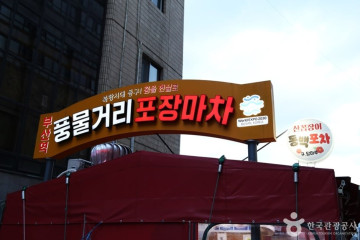 남도해양열차 에스트레인(S-train) 여행 추천 - 메고지고