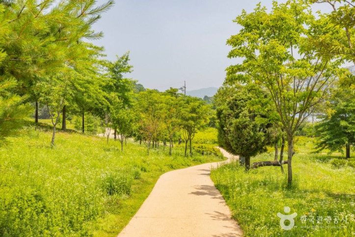 연희공원 여행 추천 - 메고지고
