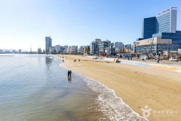 영일대 장미원 여행 추천 - 메고지고