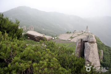 소재사(대구) 여행 추천 - 메고지고