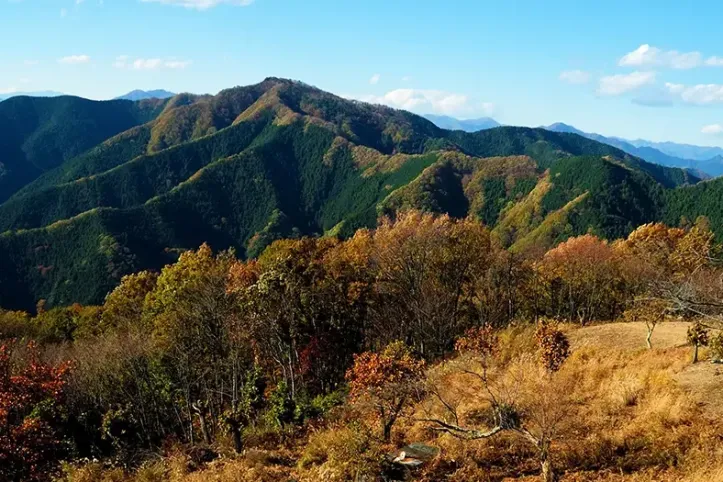 진바산 여행 추천 - 메고지고