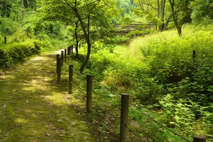 나가누마 공원 여행 추천 - 메고지고
