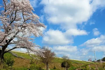 구마노 신사(조시키 구마노 신사) 여행 추천 - 메고지고