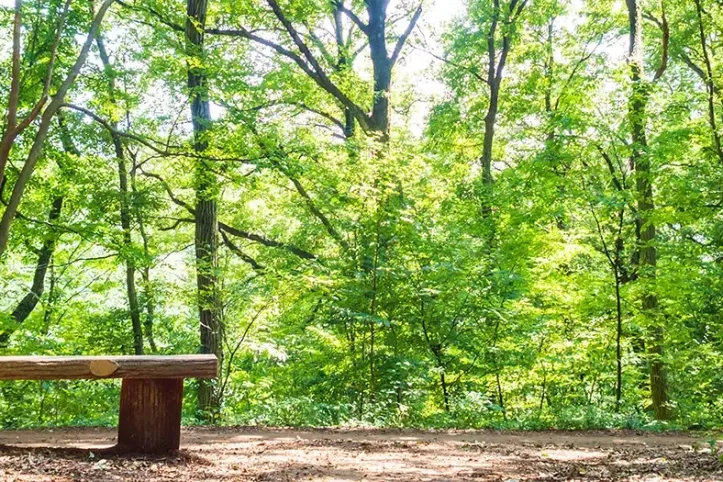 하치코쿠야마 산 녹지 여행 추천 - 메고지고