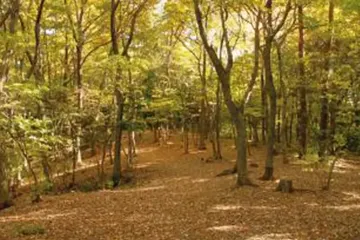 노야마키타·로쿠도야마 산 공원 여행 추천 - 메고지고