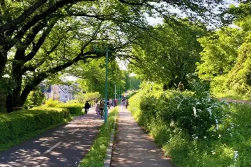 사야마 공원 여행 추천 - 메고지고