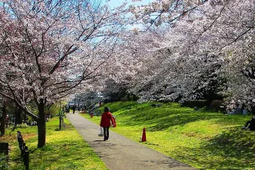 야보텐만구샤소 신사 여행 추천 - 메고지고