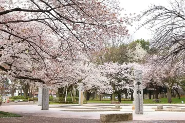 로쿠지조의 은혜 황금의 물 여행 추천 - 메고지고