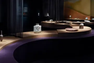 teamLab Borderless: MORI Building DIGITAL ART MUSEUM 여행 추천 - 메고지고