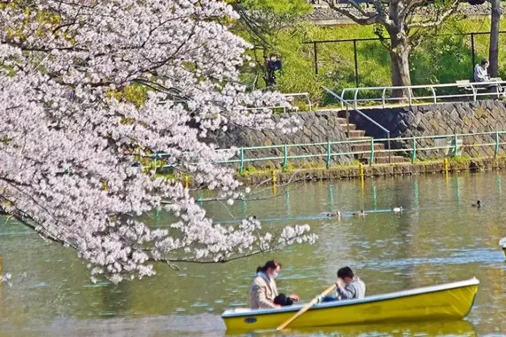 무사시세키 공원 후지미이케 연못 여행 추천 - 메고지고