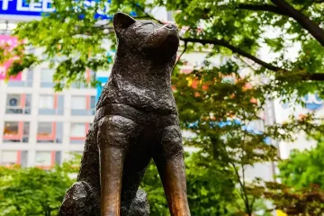시부야 마크시티 여행 추천 - 메고지고