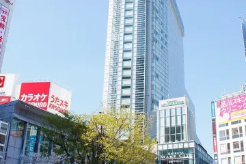 세룰리언 타워 노가쿠당 여행 추천 - 메고지고