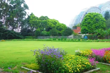 도쿄도 유메노시마 열대식물관 여행 추천 - 메고지고