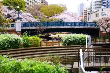 도쿄도 유메노시마 열대식물관 여행 추천 - 메고지고