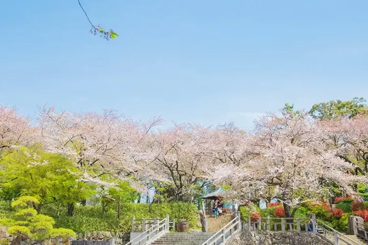 아스카야마 공원 여행 추천 - 메고지고