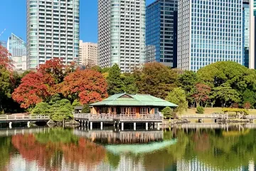다케시바 여객선 터미널 여행 추천 - 메고지고