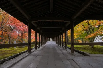 오테스지 상점가 - 나야마치 상점가 - 료마도리 상점가 여행 추천 - 메고지고