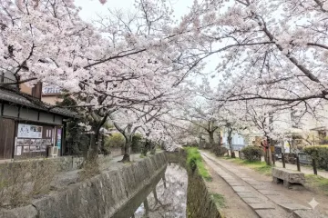 은각사(銀閣寺) 여행 추천 - 메고지고