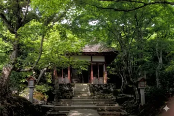 산젠인 사원 여행 추천 - 메고지고