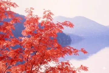 누카비라호 여행 추천 - 메고지고