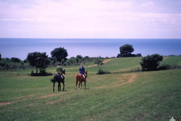 라이딩 힐즈 시즈나이(Riding Hills Shizunai) 여행 추천 - 메고지고