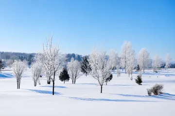 나요로 해바라기밭 여행 추천 - 메고지고