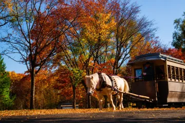 놋포로 삼림공원 여행 추천 - 메고지고