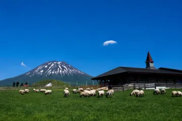 루스츠 리조트 여행 추천 - 메고지고