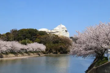 무라세 제과 여행 추천 - 메고지고