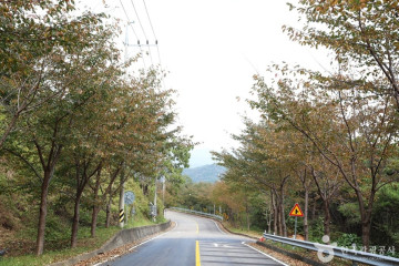 완계서원 여행 추천 - 메고지고