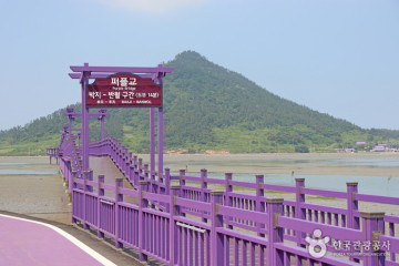 반월도·박지도 여행 추천 - 메고지고