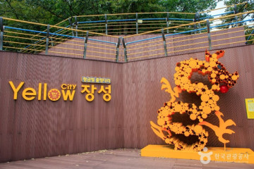 옐로우 출렁다리 여행 추천 - 메고지고