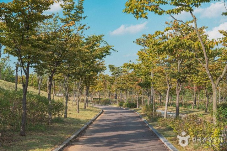 미사한강공원4호 여행 추천 - 메고지고