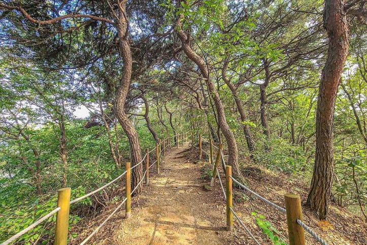 고성산 여행 추천 - 메고지고